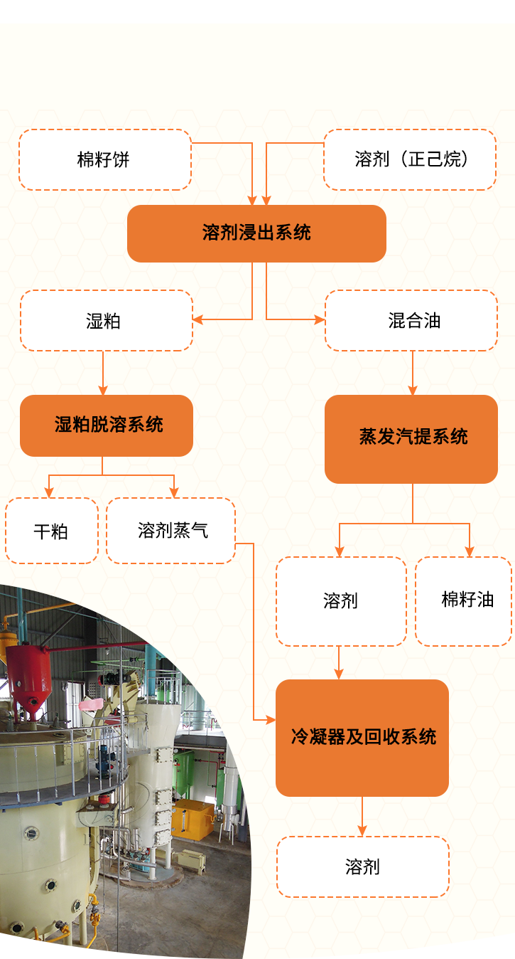 棉籽饼浸出